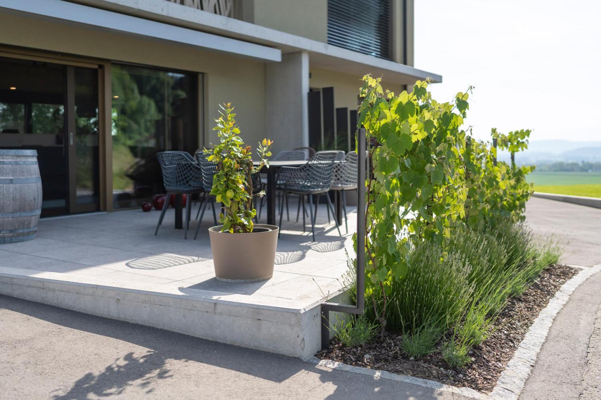 Hotel Le Rive Sud Estavayer-le-lac Zewnętrze zdjęcie